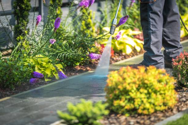 Trusted Providence Village, TX Pressure Washing Services Experts